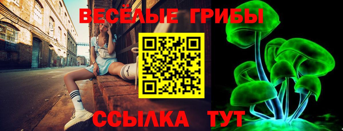 Галлюциногенные грибы Psilocybine cubensis  Вход с VPN  Ефремов  Псилоцибиновые грибы Psilocybe 
