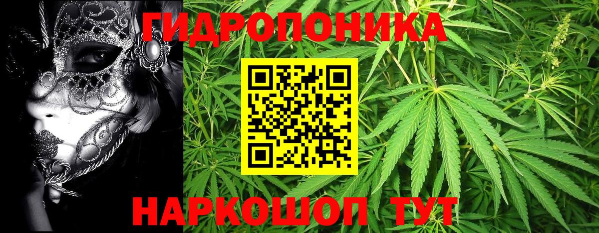 Конопля SATIVA & INDICA  Вход с VPN  Бошки Шишки индика  Ефремов  МАРИХУАНА Amnesia 